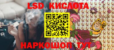 гидра Кандалакша