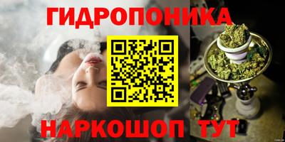 эйфоретик Камышлов