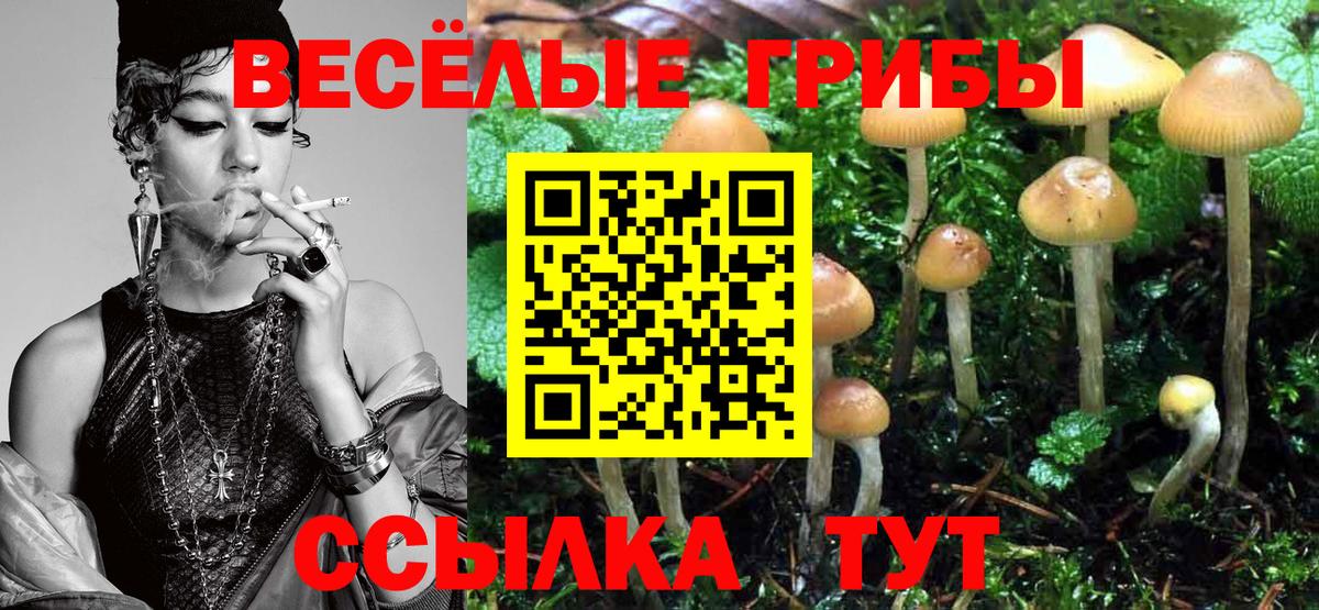 Галлюциногенные грибы Psilocybe  Вход с VPN  Краснокаменск 