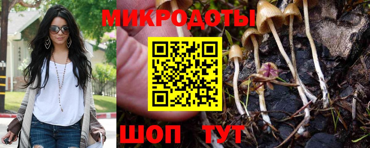 Псилоцибиновые грибы GOLDEN TEACHER Краснокаменск